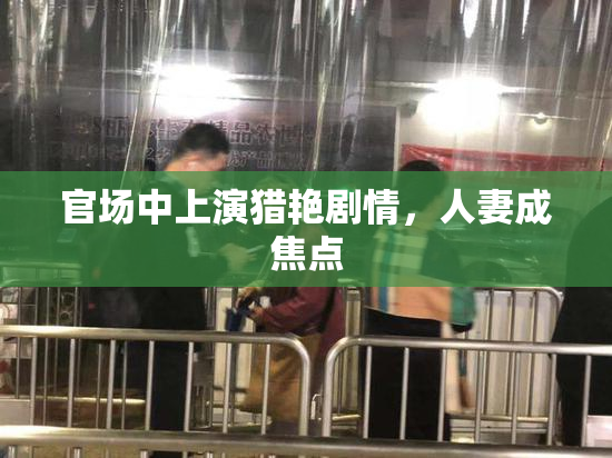 官场中上演猎艳剧情，人妻成焦点