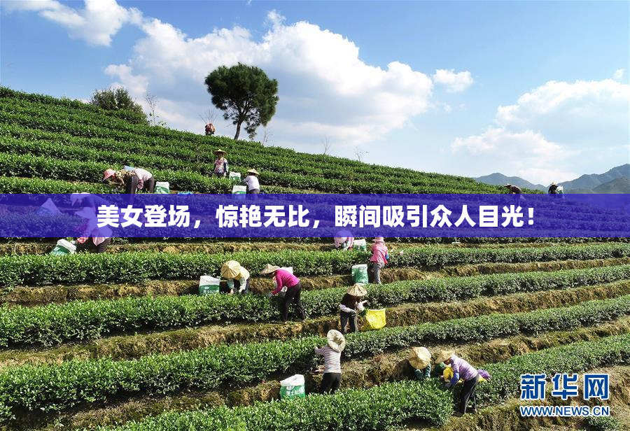 美女登场，惊艳无比，瞬间吸引众人目光！