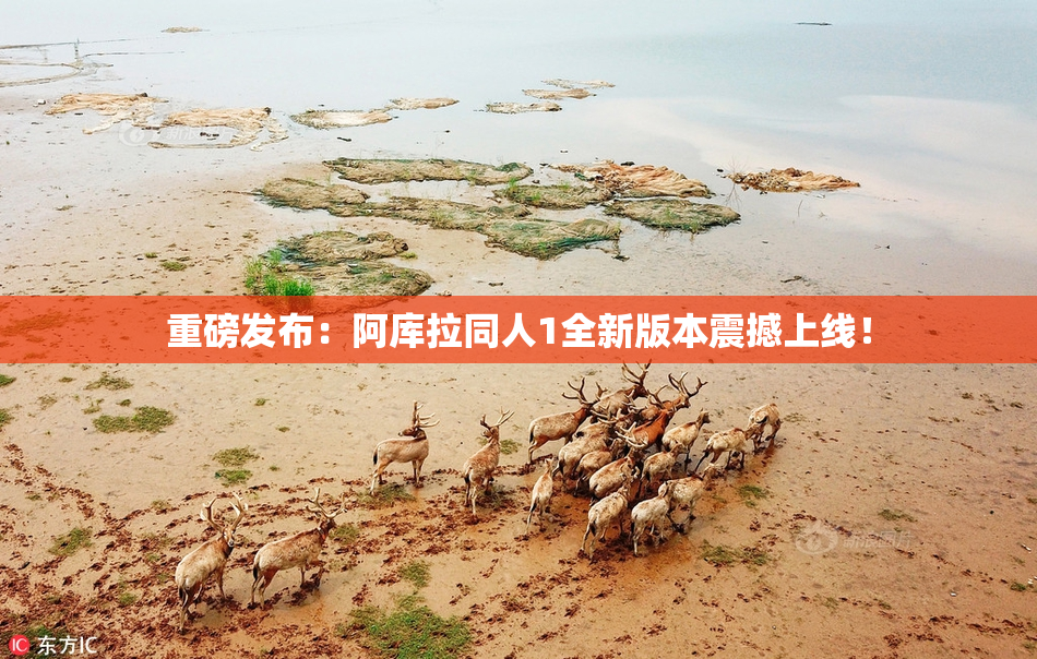 重磅发布：阿库拉同人1全新版本震撼上线！