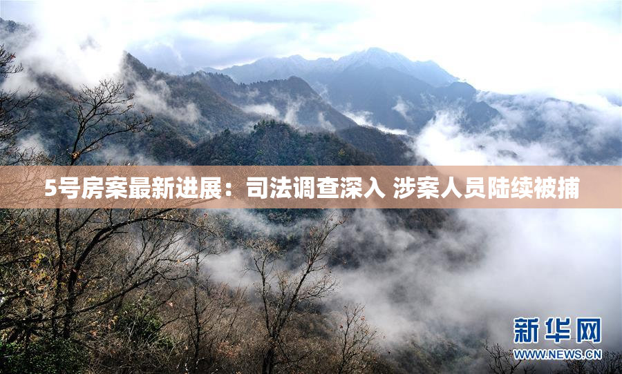 5号房案最新进展：司法调查深入 涉案人员陆续被捕