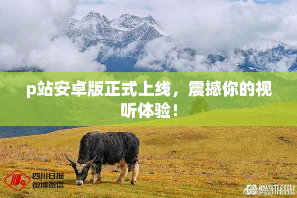 p站安卓版正式上线，震撼你的视听体验！