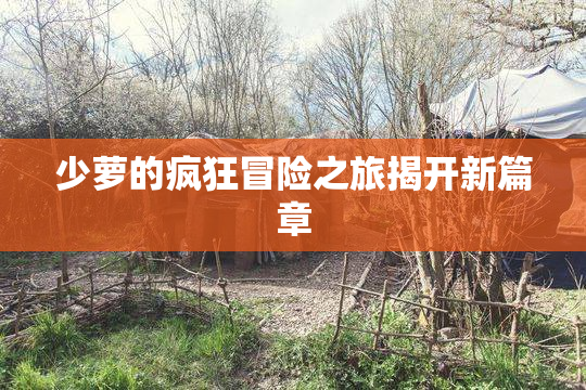 少萝的疯狂冒险之旅揭开新篇章