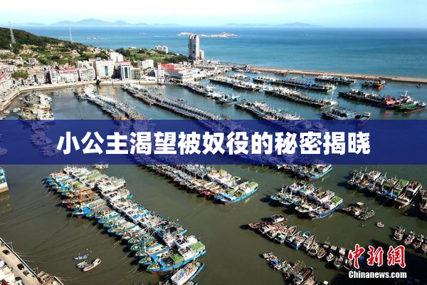 小公主渴望被奴役的秘密揭晓