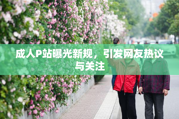 成人P站曝光新规，引发网友热议与关注