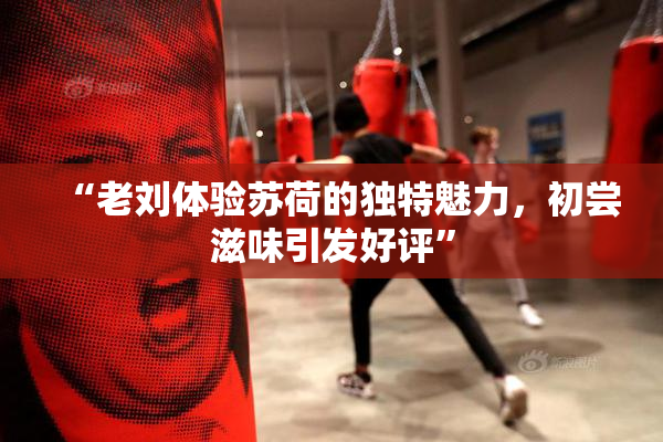 “老刘体验苏荷的独特魅力，初尝滋味引发好评”