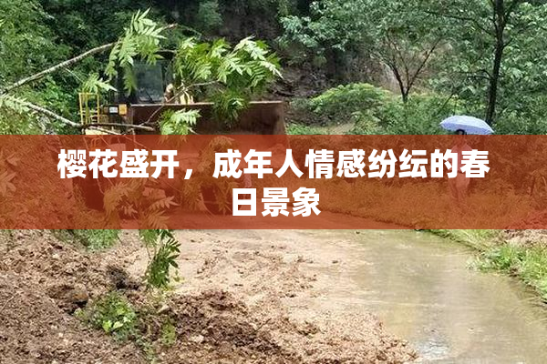 樱花盛开，成年人情感纷纭的春日景象