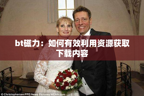 bt磁力：如何有效利用资源获取下载内容