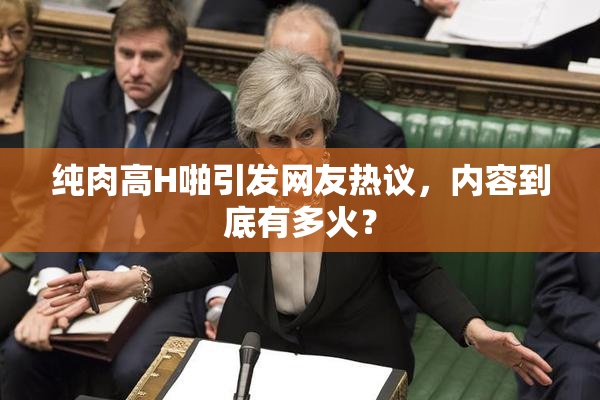 纯肉高H啪引发网友热议，内容到底有多火？