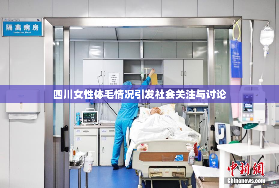 四川女性体毛情况引发社会关注与讨论