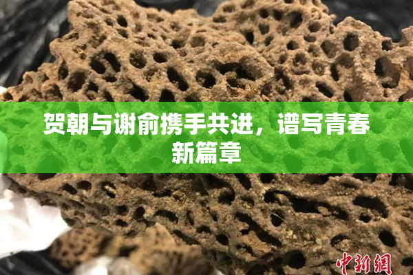 贺朝与谢俞携手共进，谱写青春新篇章