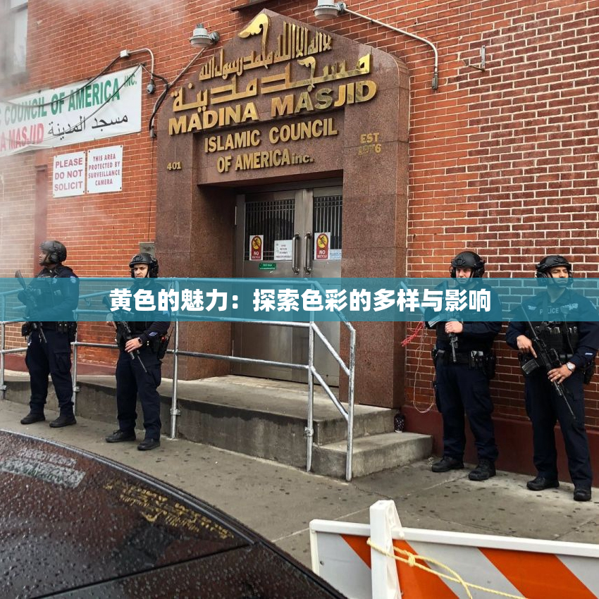 黄色的魅力：探索色彩的多样与影响