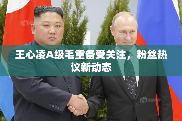 王心凌A级毛重备受关注，粉丝热议新动态