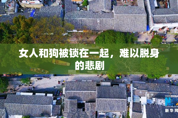 女人和狗被锁在一起，难以脱身的悲剧
