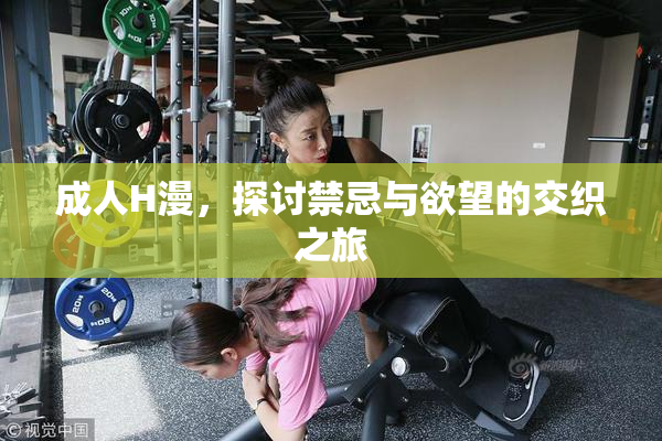 成人H漫，探讨禁忌与欲望的交织之旅