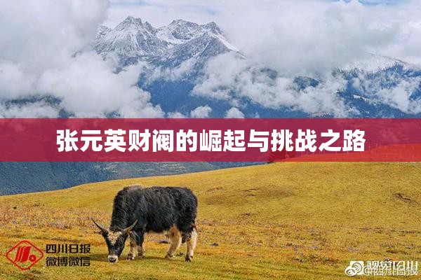 张元英财阀的崛起与挑战之路