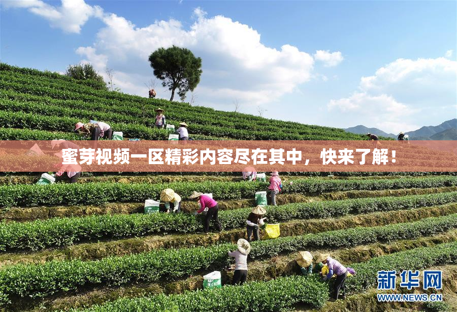 蜜芽视频一区精彩内容尽在其中，快来了解！