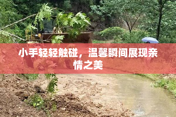 小手轻轻触碰，温馨瞬间展现亲情之美
