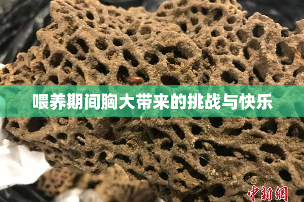 喂养期间胸大带来的挑战与快乐