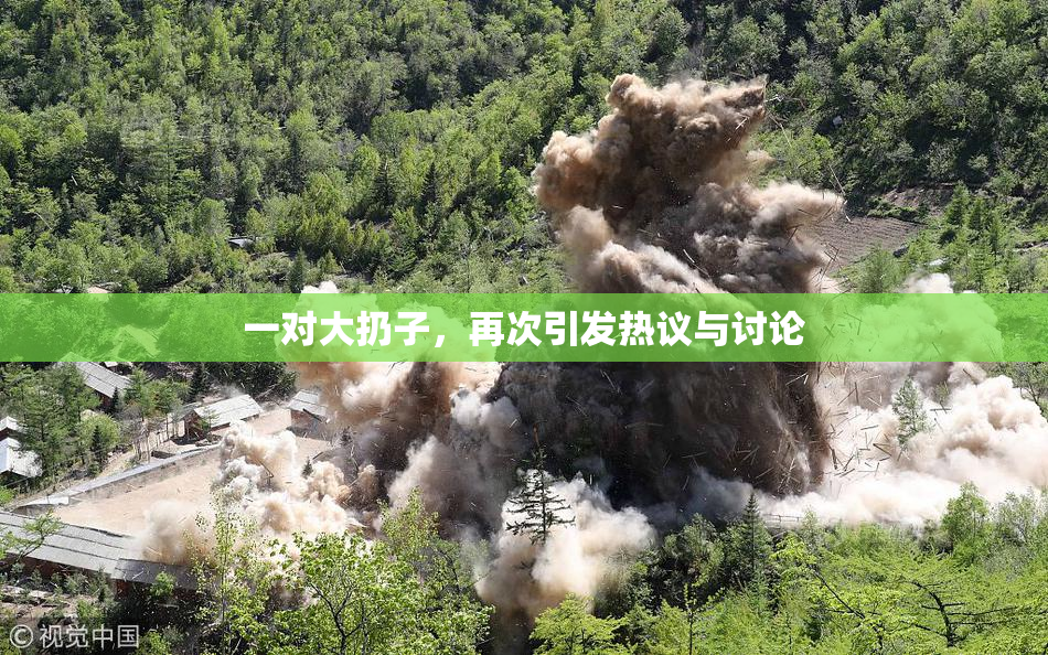一对大扔子，再次引发热议与讨论