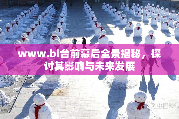 www.bl台前幕后全景揭秘，探讨其影响与未来发展