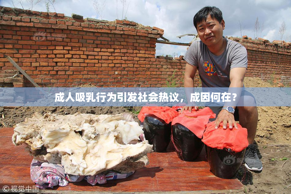 成人吸乳行为引发社会热议，成因何在？