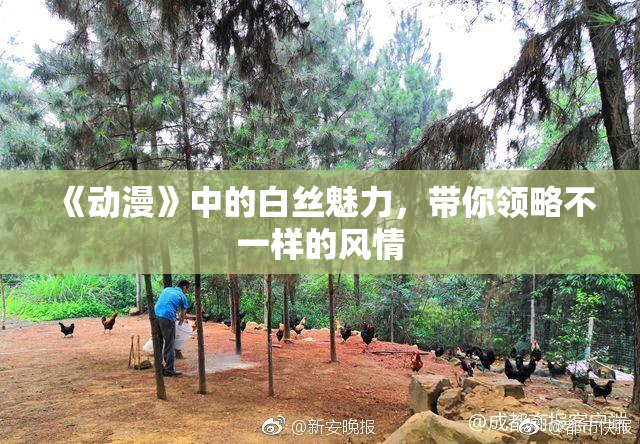 《动漫》中的白丝魅力，带你领略不一样的风情