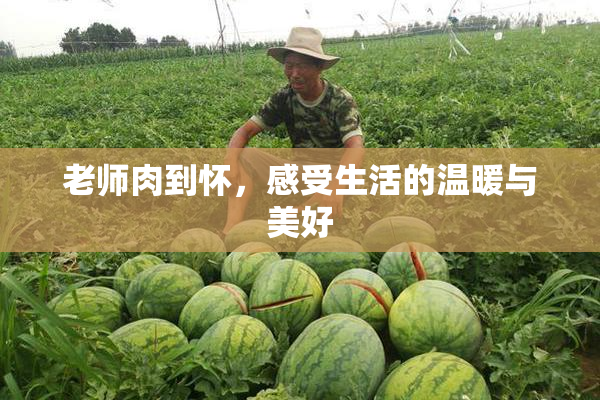 老师肉到怀，感受生活的温暖与美好
