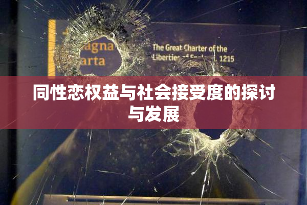 同性恋权益与社会接受度的探讨与发展