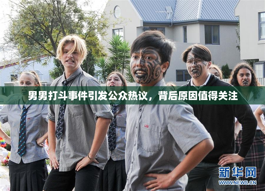男男打斗事件引发公众热议，背后原因值得关注