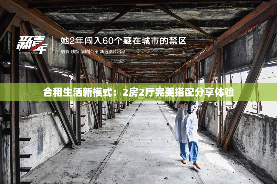 合租生活新模式：2房2厅完美搭配分享体验