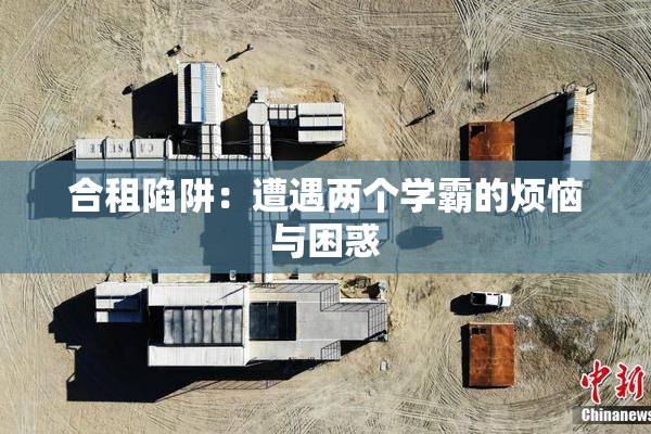 合租陷阱：遭遇两个学霸的烦恼与困惑