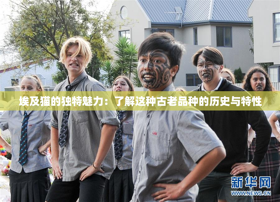 埃及猫的独特魅力：了解这种古老品种的历史与特性