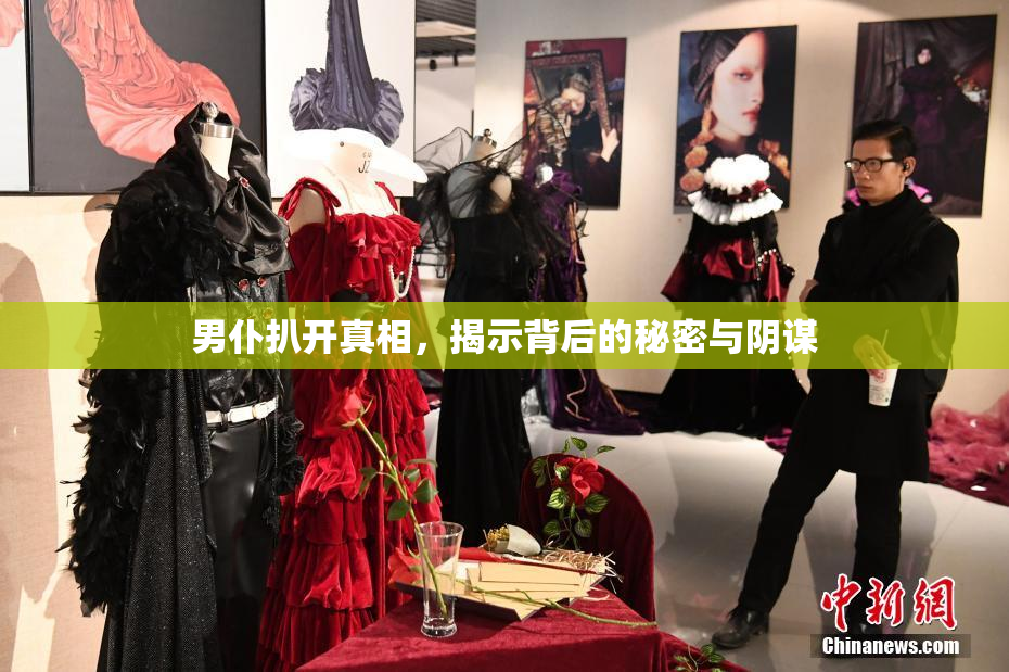 男仆扒开真相，揭示背后的秘密与阴谋