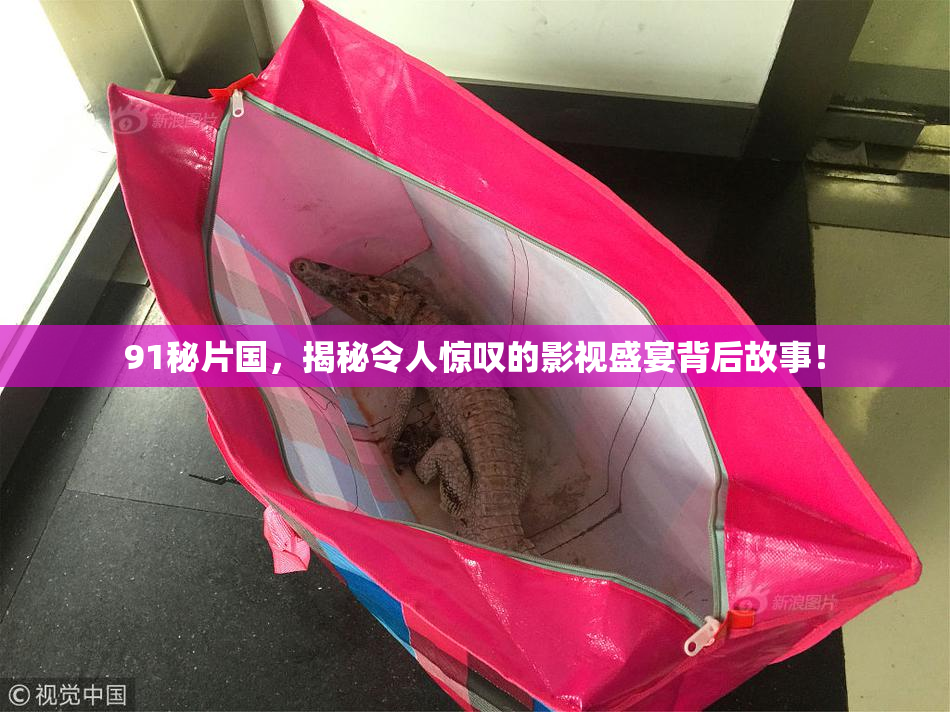 91秘片国，揭秘令人惊叹的影视盛宴背后故事！