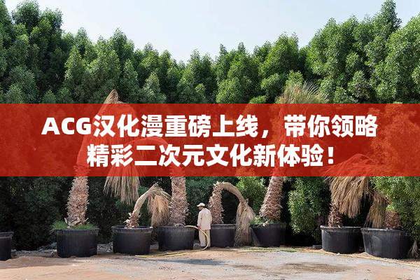 ACG汉化漫重磅上线，带你领略精彩二次元文化新体验！