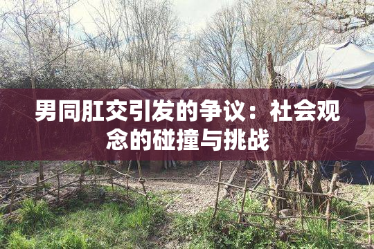 男同肛交引发的争议：社会观念的碰撞与挑战