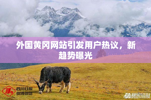外国黄冈网站引发用户热议，新趋势曝光