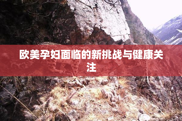欧美孕妇面临的新挑战与健康关注