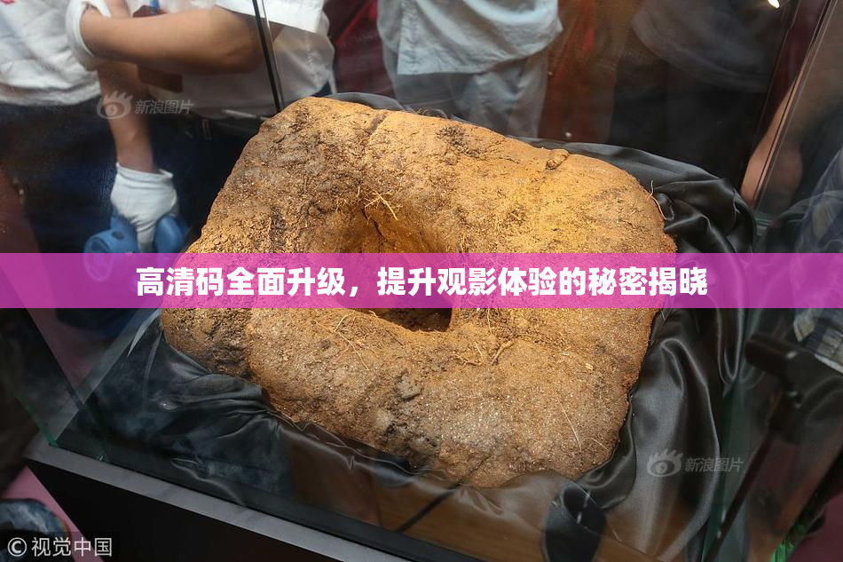 高清码全面升级，提升观影体验的秘密揭晓
