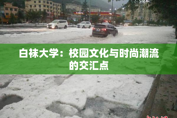 白袜大学：校园文化与时尚潮流的交汇点