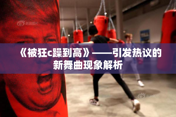 《被狂c躁到高》——引发热议的新舞曲现象解析