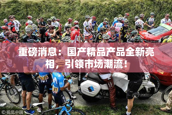 重磅消息：国产精品产品全新亮相，引领市场潮流！