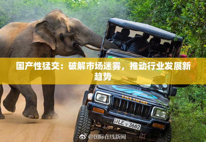 国产性猛交：破解市场迷雾，推动行业发展新趋势