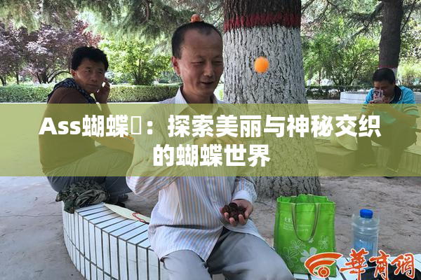 Ass蝴蝶泬：探索美丽与神秘交织的蝴蝶世界