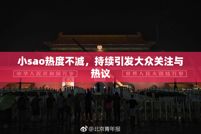 小sao热度不减，持续引发大众关注与热议