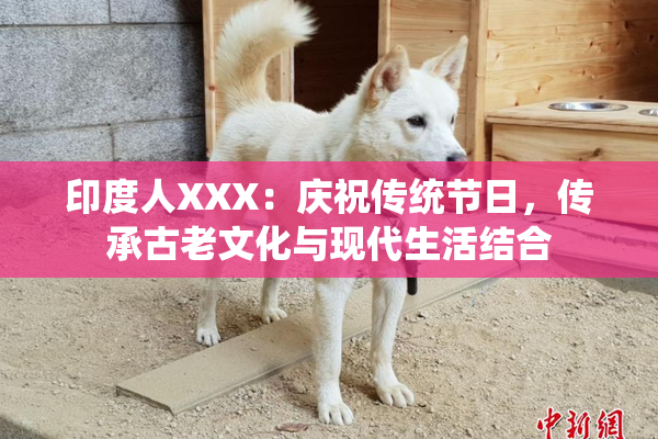 印度人XXX：庆祝传统节日，传承古老文化与现代生活结合