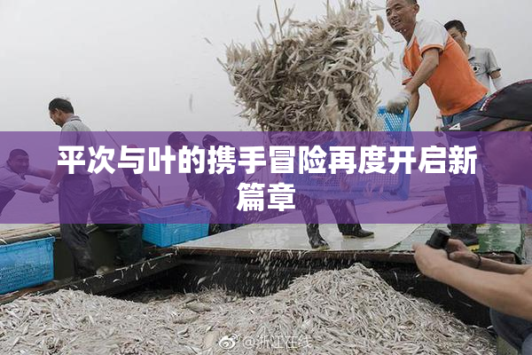 平次与叶的携手冒险再度开启新篇章
