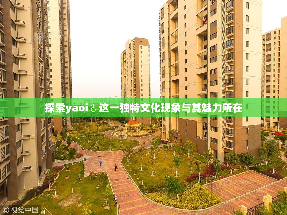 探索yaoi♂这一独特文化现象与其魅力所在