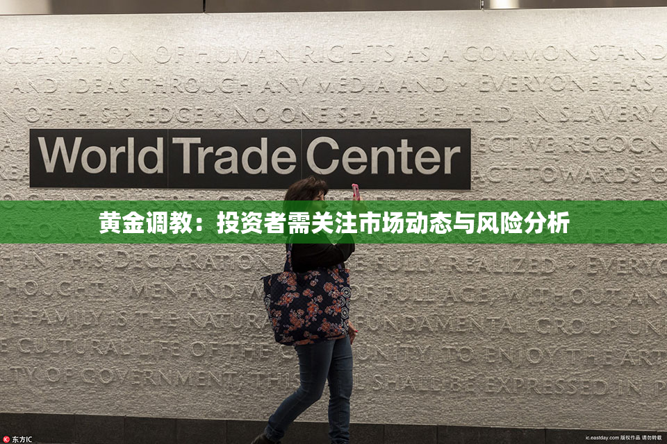 黄金调教：投资者需关注市场动态与风险分析