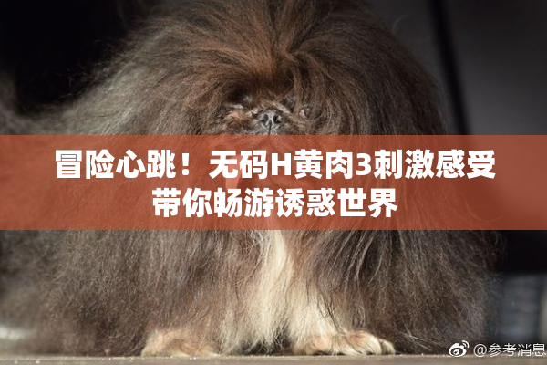 冒险心跳！无码H黄肉3刺激感受带你畅游诱惑世界
